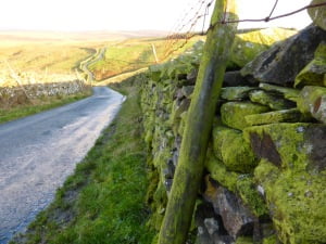 klebsormidium-sannet-hall